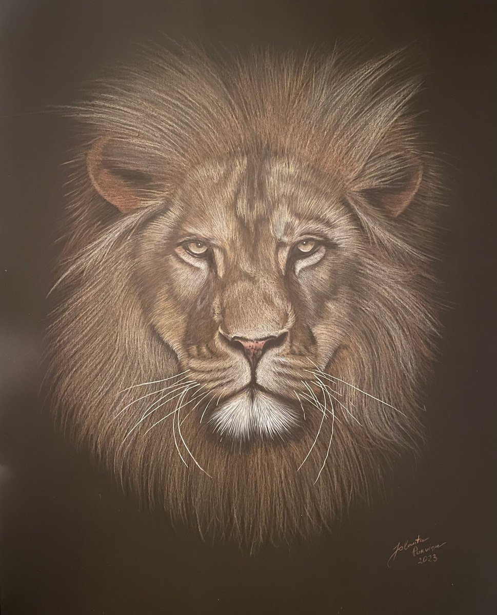 The Lion by Jo P
