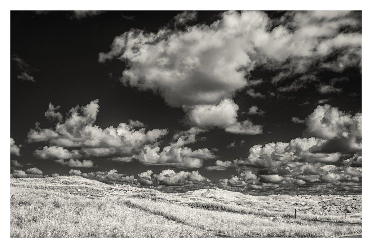 Photorealistic Landscape Photograph By Brooke T Ryan, 36 X 24, Provincelands - 36 X 24, Original Artwork