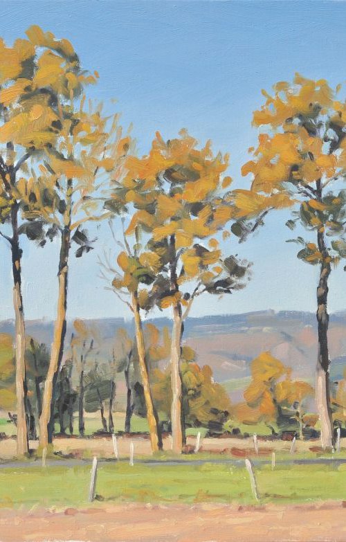 October 27, Saint Vincent, late afternoon by ANNE BAUDEQUIN