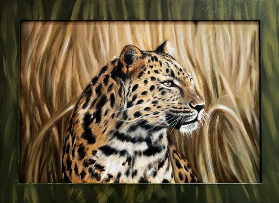 The Silent Watcher: Amur Leopard