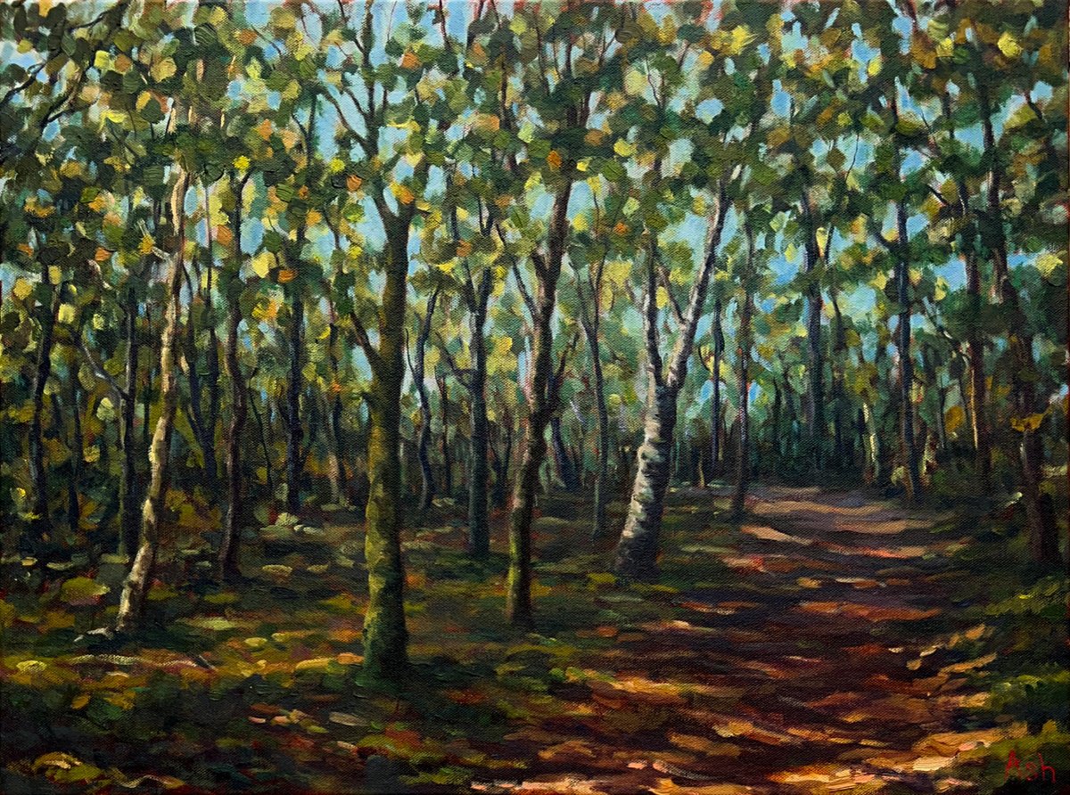 Impressionistic Landscape Oil Painting By Ashley Baldwin-Smith, 24 X 18, Autumn Wander, Original Artwork