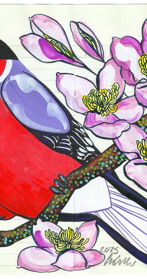 Birds of Europe: Bullfinch by Fran Giffard