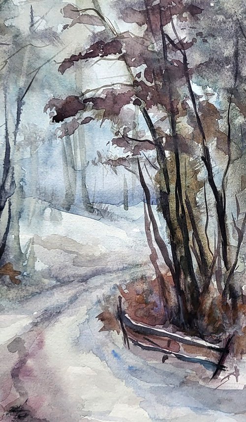Winter color by Boris Serdyuk
