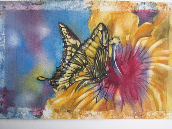 a painting a day #51 "butterfly with hibiscus"