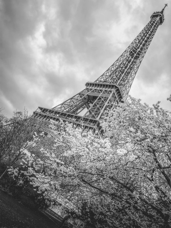 UNDER THE EIFFEL TOWER