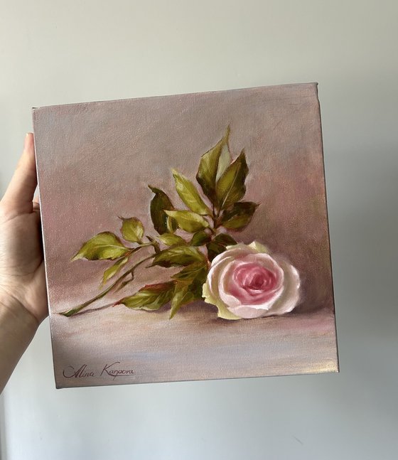 Pink rose