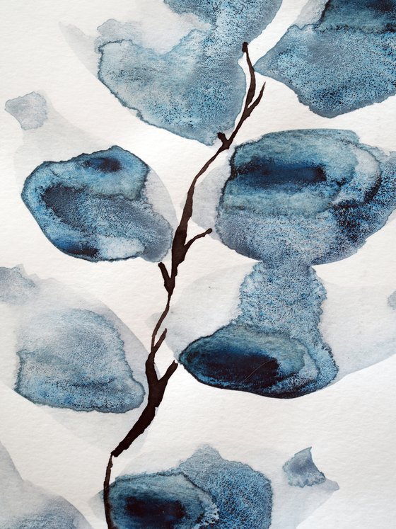 The eucalyptus branches - minimalistic sketch, watercolor and ink