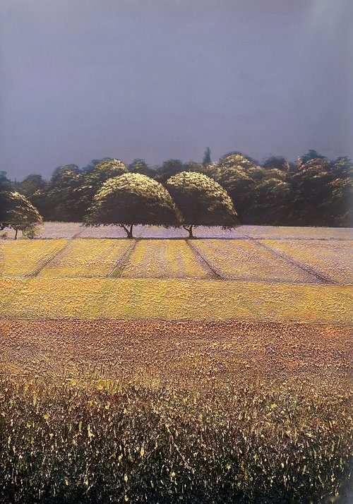 Vibration of Silence Lavender Fields by Simon Jones
