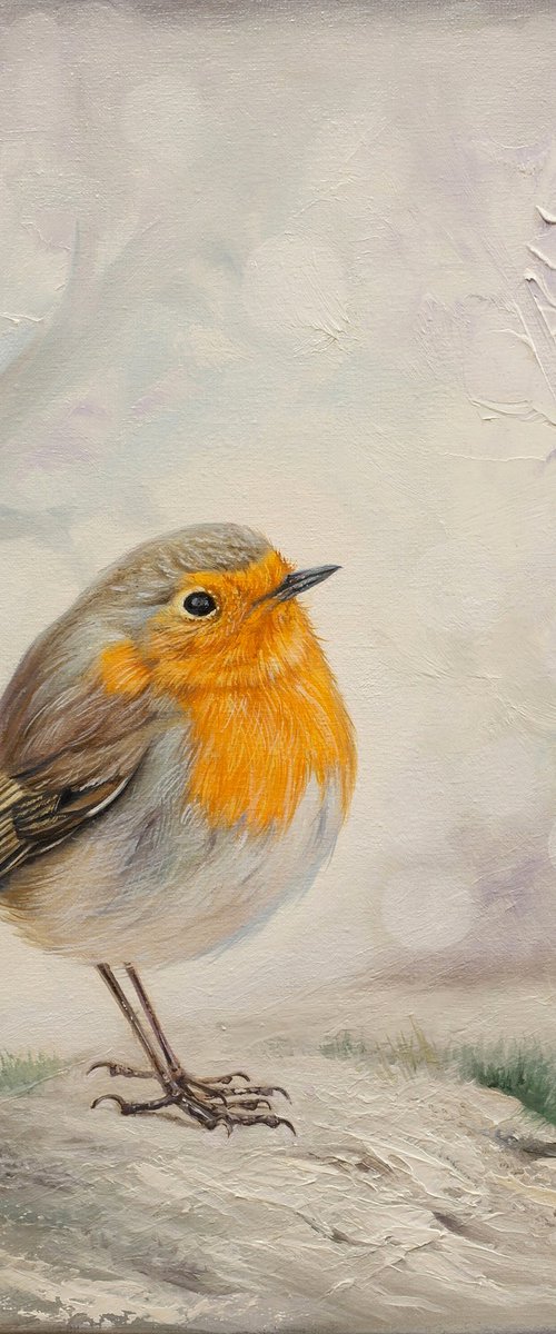 Robin by Eduard Zhaldak