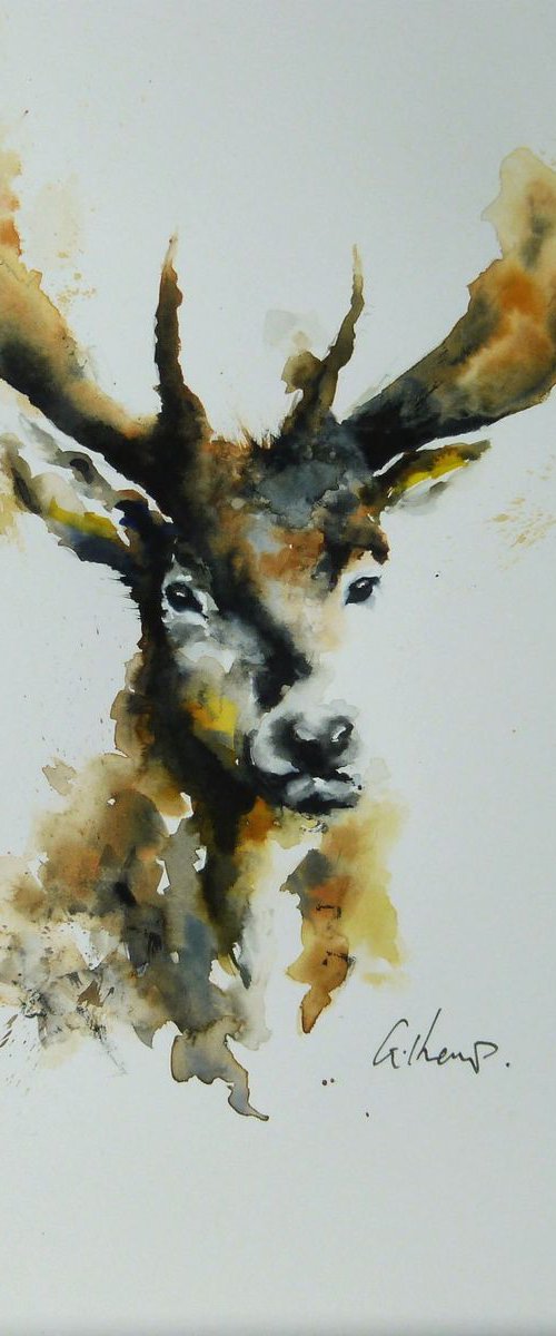 Stag Head #3 by Graham Kemp