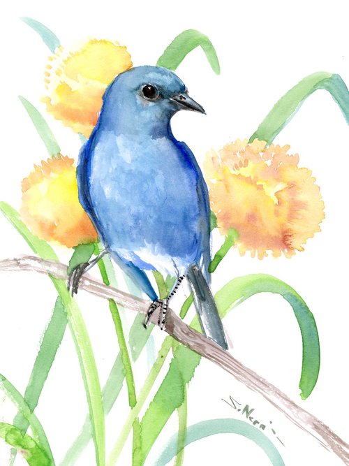 Mountain Bluebird by Suren Nersisyan