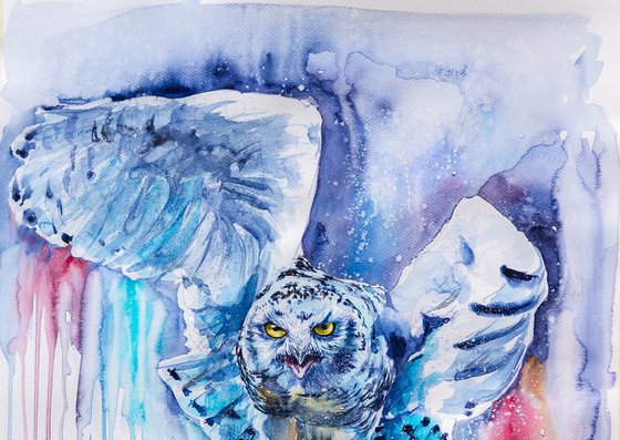 Snowy owl flying