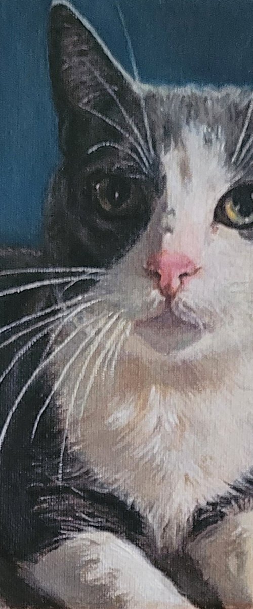 Commission Portrait of Mr. Moo by QI Debrah
