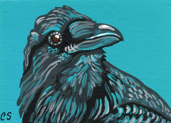 Crow Raven