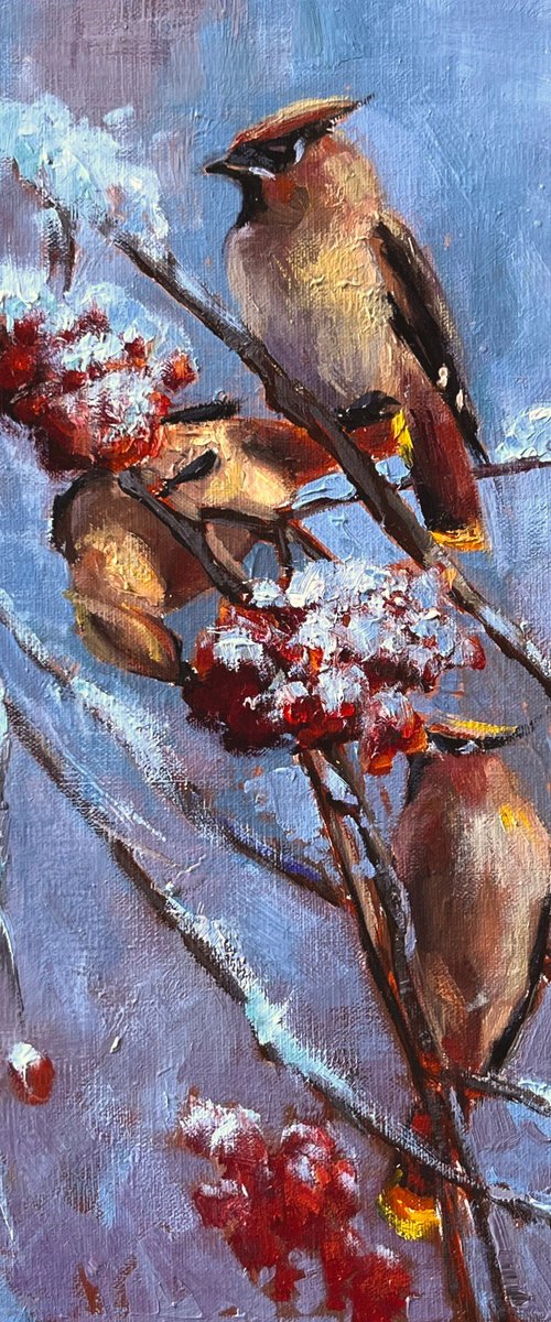 January Waxwings by Nancy Rynes