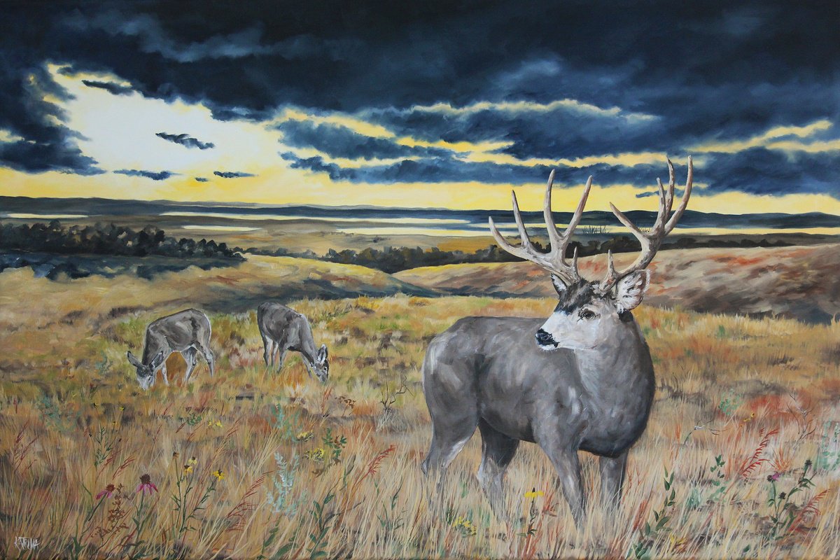 Prairie Grass - Landscape - Wildlife - Mule Deer by Katrina Case