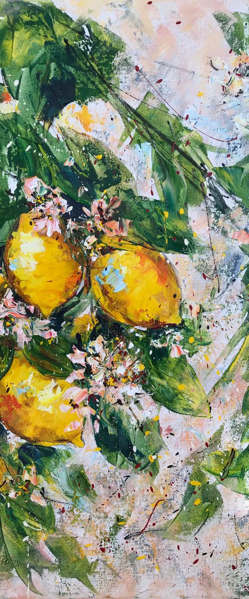 Bloomy Lemon Tree by Diana Malivani