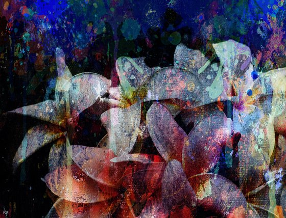 Abstract Plumeria Flowers
