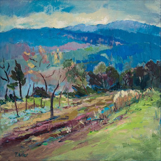 Spring landscape