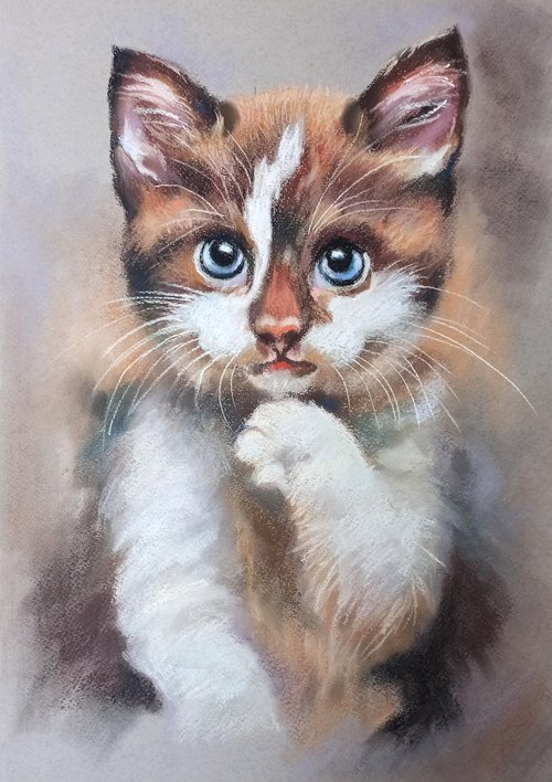 kitten by Magdalena Palega