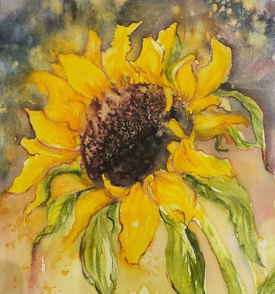 Sunflower Burst