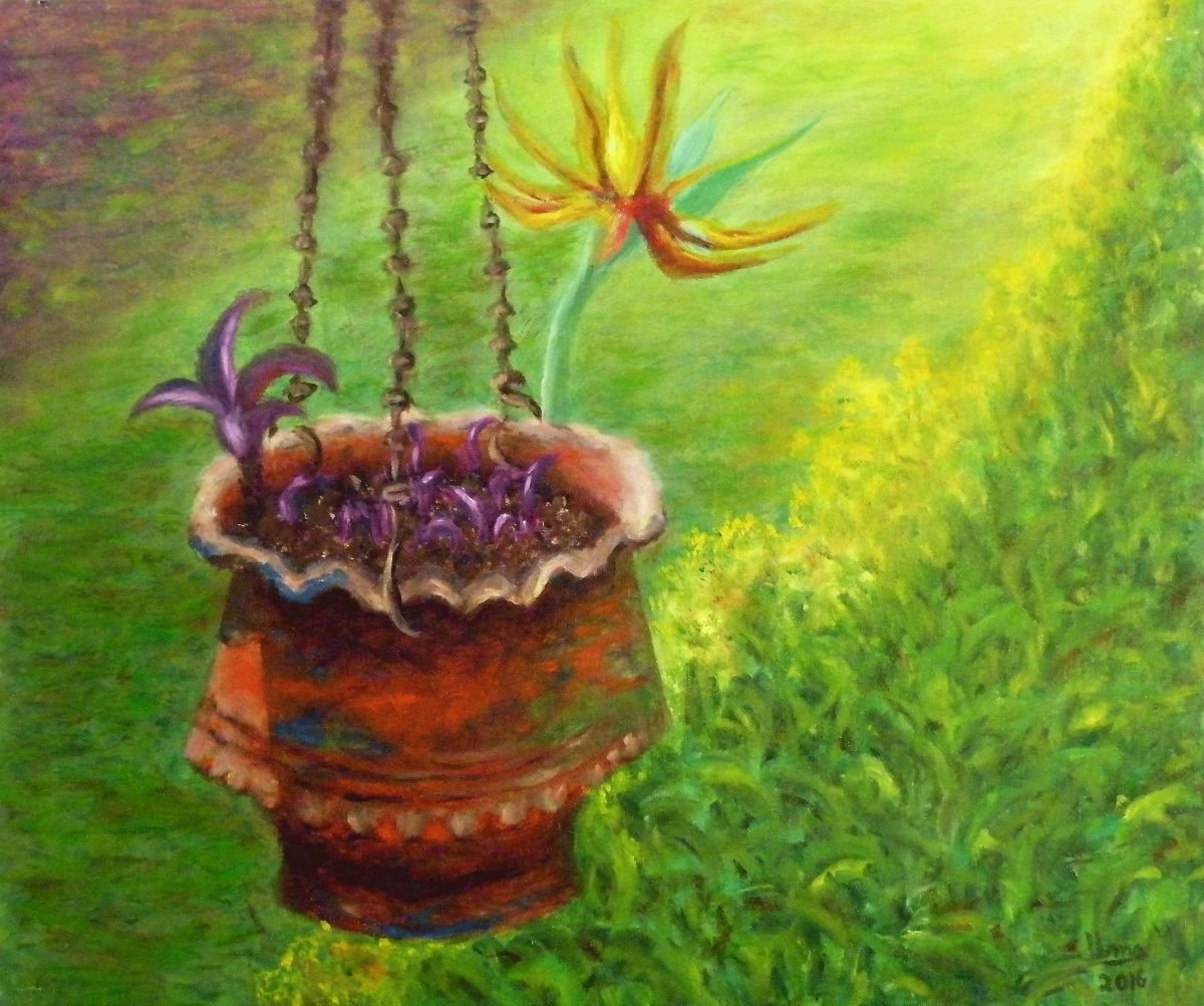 Hanging flower pot by Uma Krishnamoorthy