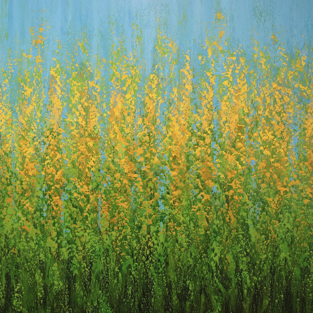 Expressive Abstract Acrylic Painting By Suzanne Vaughan, 40 X 40", Yellow Flower Field, Original Artwork