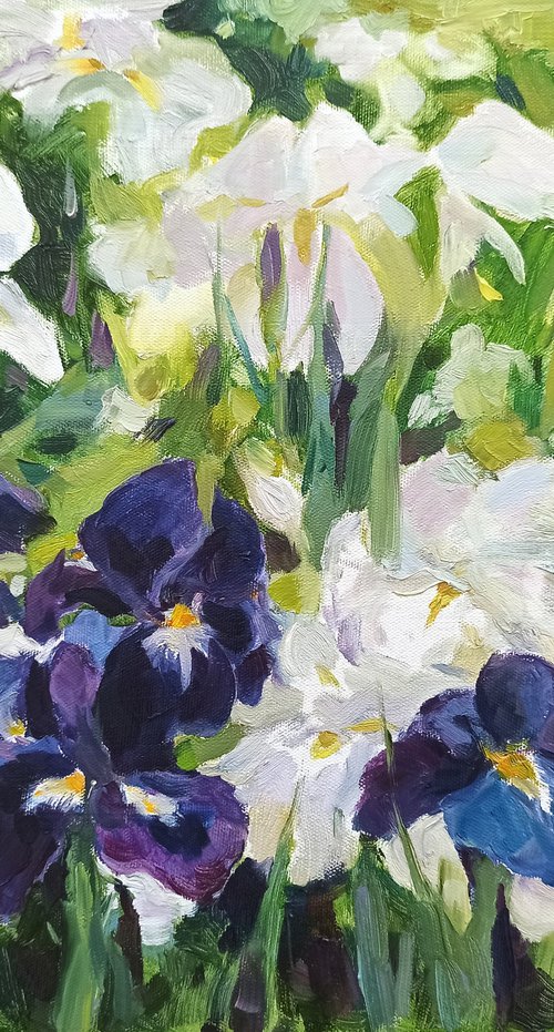 Irises by Elena Utkina