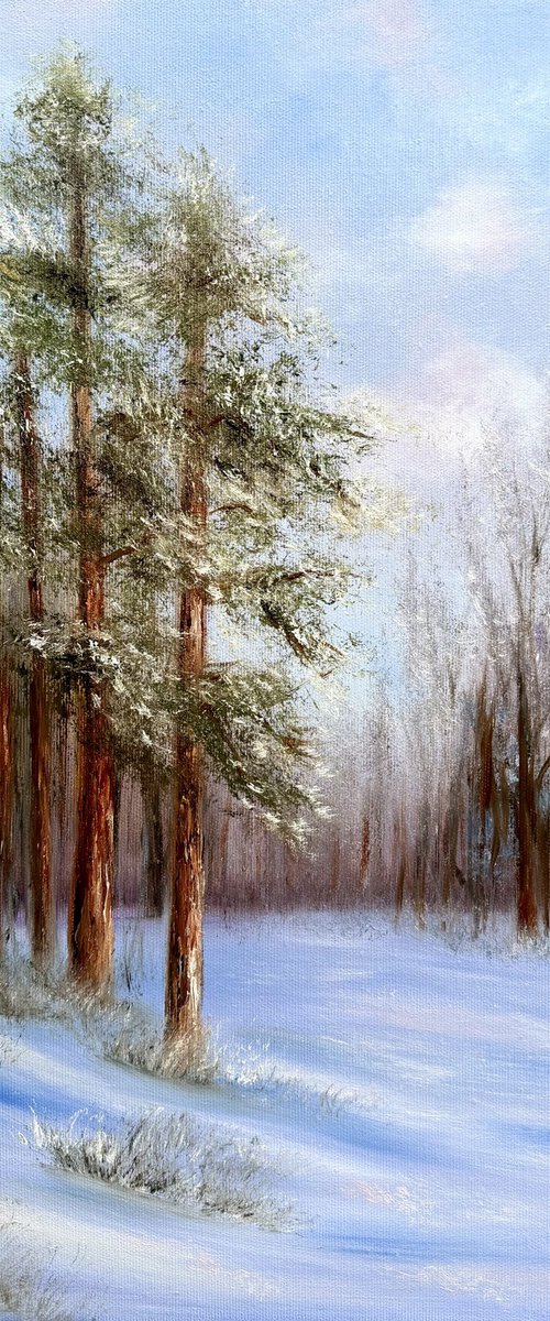 Winter Passage by Tanja Frost