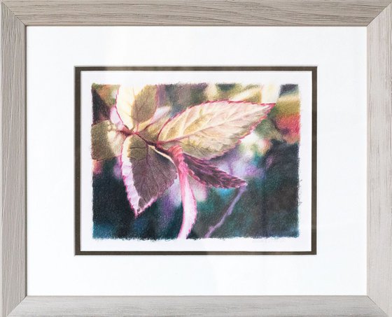 Leaves barely hatched #1 Realistic fine art Still life drawing Ideal gift deco design Christmas
