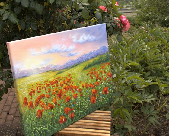 Poppy field in summer 4