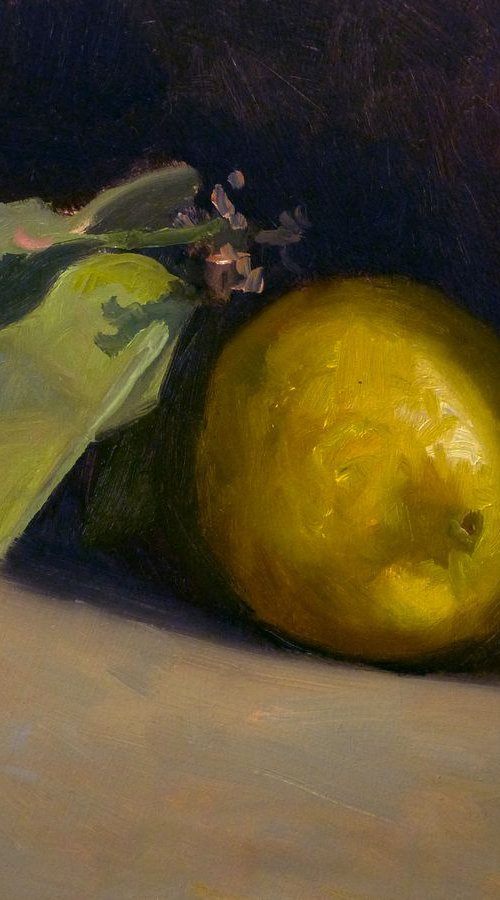 Lemon by Pascal Giroud