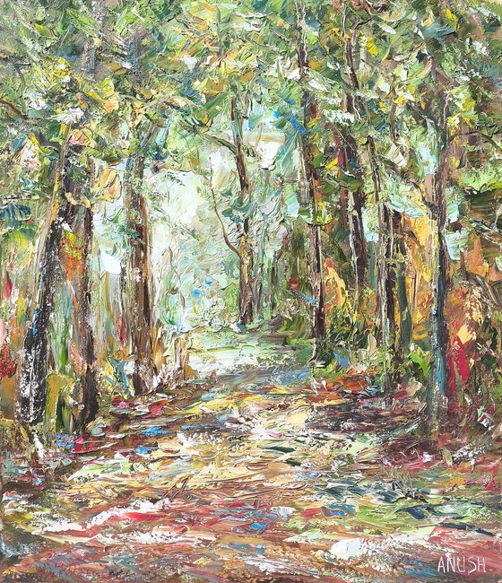 Woodland Pathway