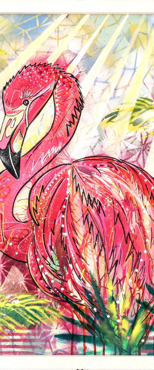 Flamingo by Emily Donald