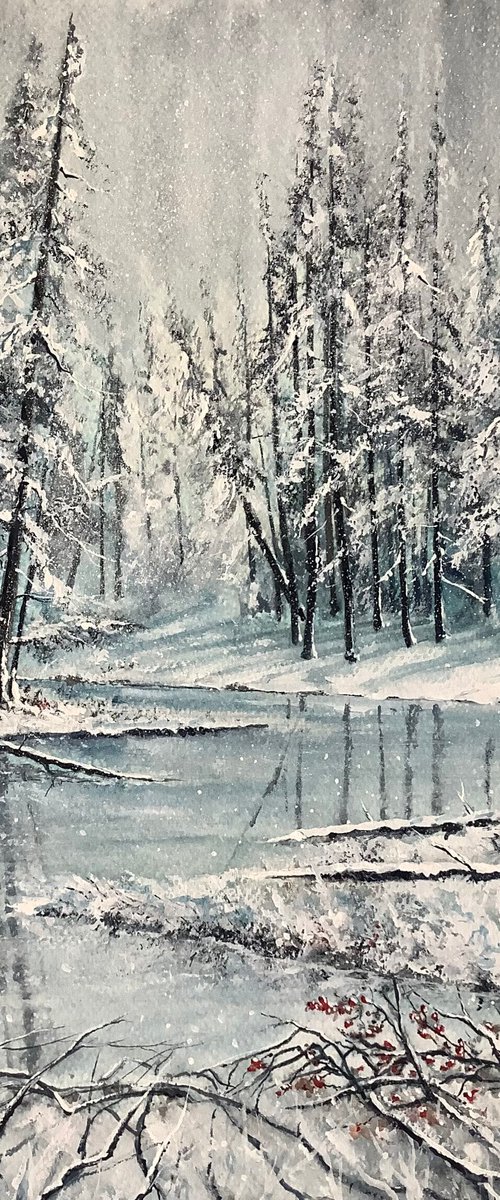 Winters Beauty by Darren Carey