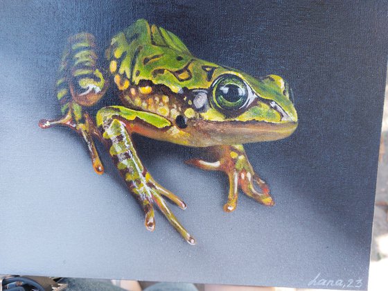 Frog painting,  green frog,  realistic art,  frog art, hyperrealism painting