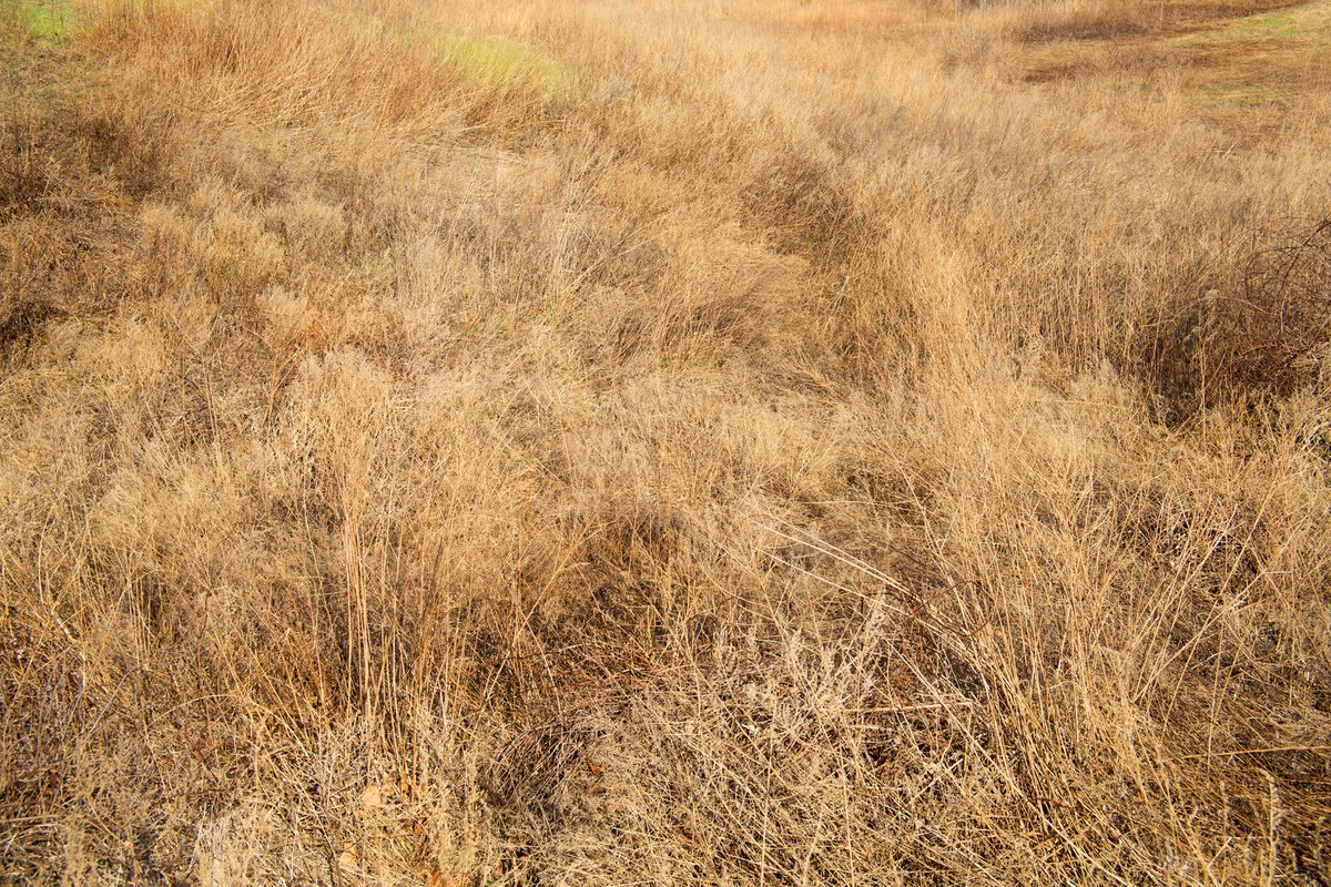 Surrealistic Photograph , Harriman 15 By Michael Filonow, 32 X 22, Artwork For Sale On Artfinder