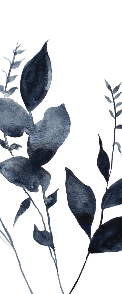 Plant Study No. 69 by Elizabeth Becker
