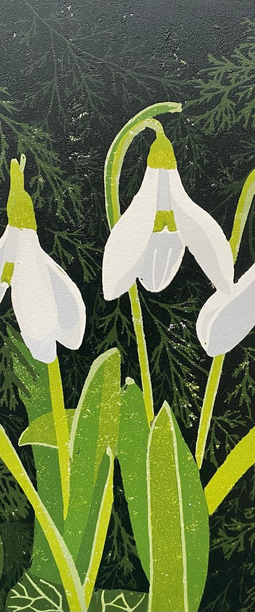 Snowdrops by Joanne Spencer