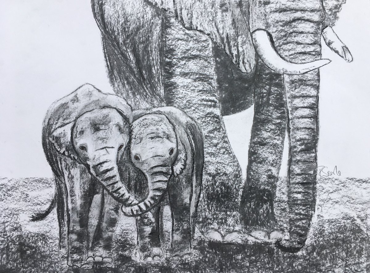 Elephant babies by Ruth Searle
