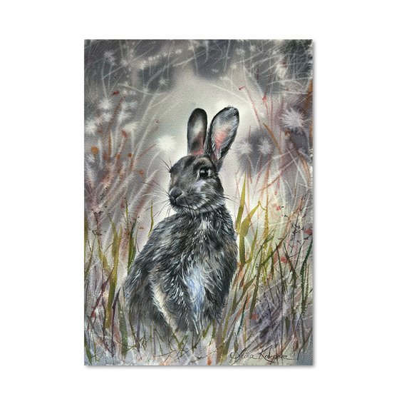 Grey Rabbit
