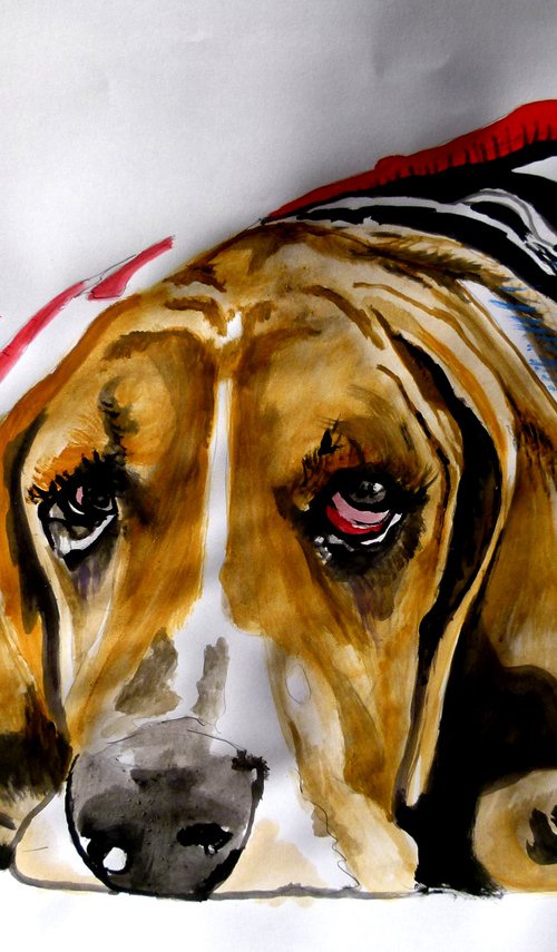 Basset hound by Soso Kumsiashvili