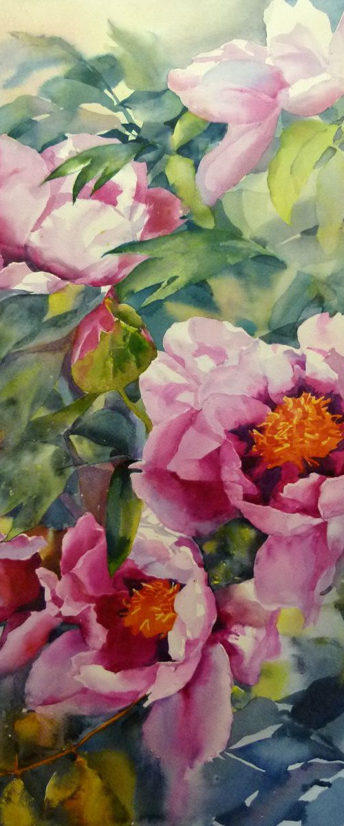 PINK PEONIES#3 by Yurii Pashkov