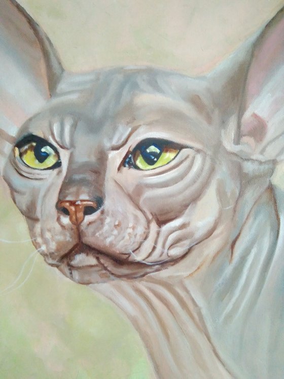 Sphinx cat, 45x50 cm, ready to hang.