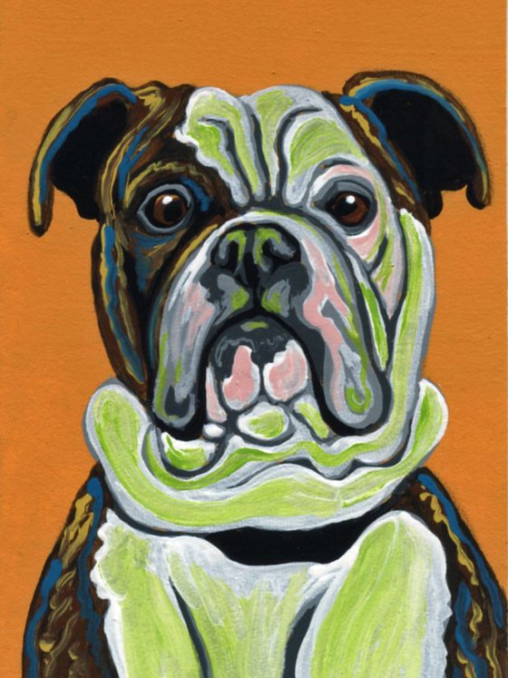 ACEO ATC Original Painting Colorful Olde English Bulldogge Pet Dog Art-Carla Smale