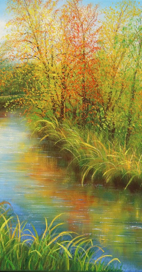 Autumn reflections by Ludmilla Ukrow