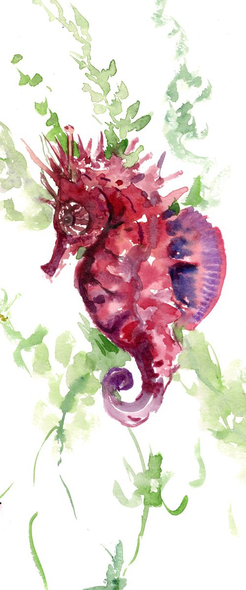 Seahorse by Suren Nersisyan