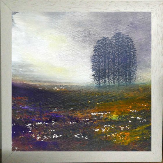 Misty Moorland Trees