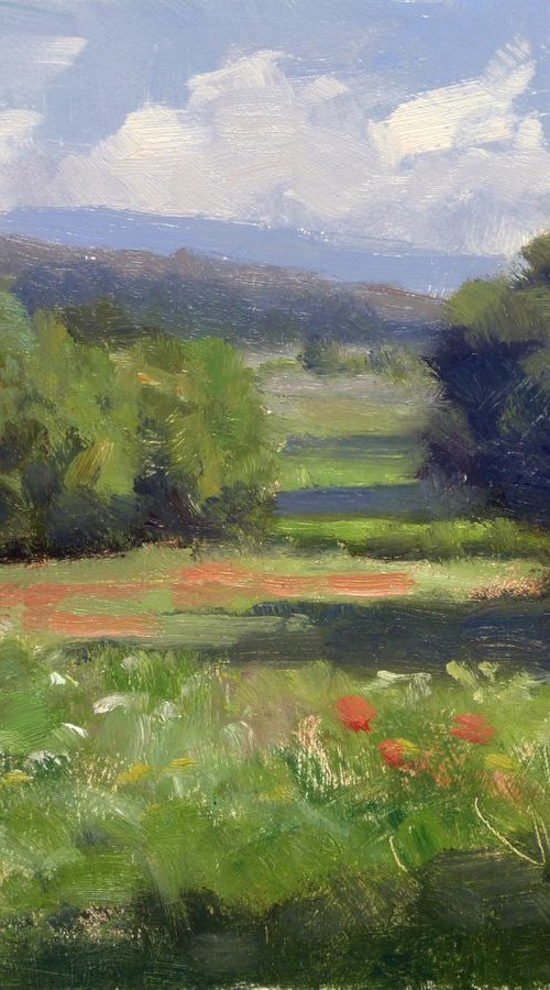 Field in the Luberon by Pascal Giroud