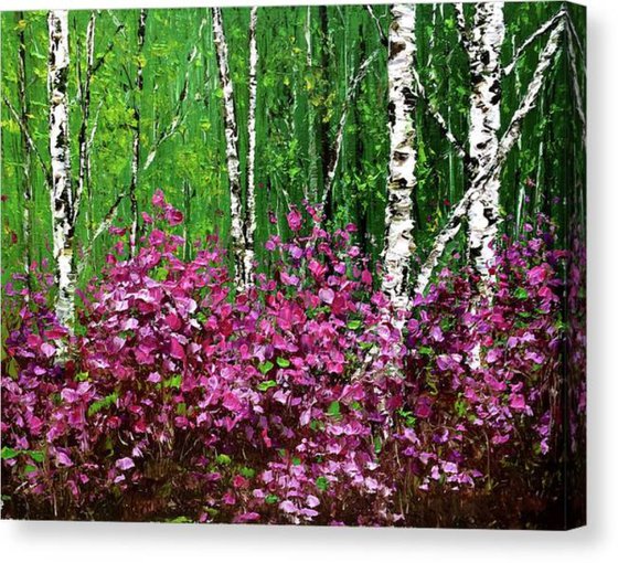 SUNNY MORNING IN THE FOREST - Summer pines. Small birches. Tea bushes. Pink labrador. Forest. Native places. Wildlife. Summer.